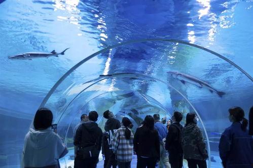 水底世界爆料视频大全,水底世界爆料视频大全精彩回顾 第1张 水底世界爆料视频大全,水底世界爆料视频大全精彩回顾 第1张